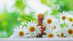 Chamomile essential oil