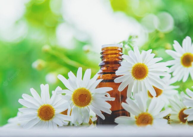 Chamomile essential oil