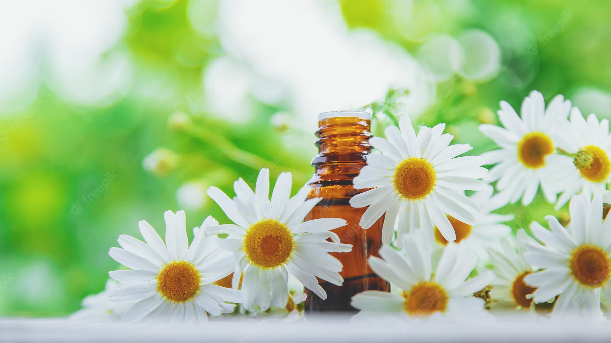 Chamomile essential oil